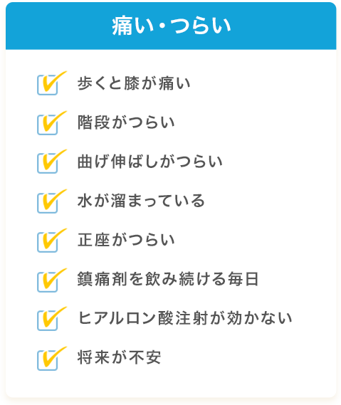 【痛い・つらい】歩くと膝が痛い／階段がつらい／曲げ伸ばしがつらい／水が溜まっている／正座がつらい／鎮痛剤を飲み続ける毎日／ヒアルロン酸注射が効かない／将来が不安