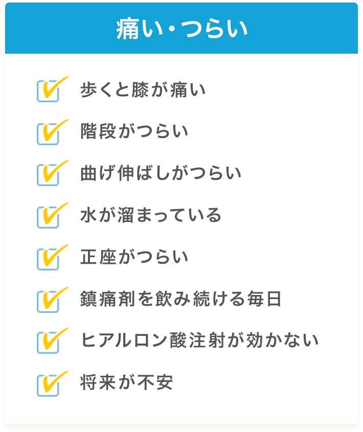 【痛い・つらい】歩くと膝が痛い／階段がつらい／曲げ伸ばしがつらい／水が溜まっている／正座がつらい／鎮痛剤を飲み続ける毎日／ヒアルロン酸注射が効かない／将来が不安